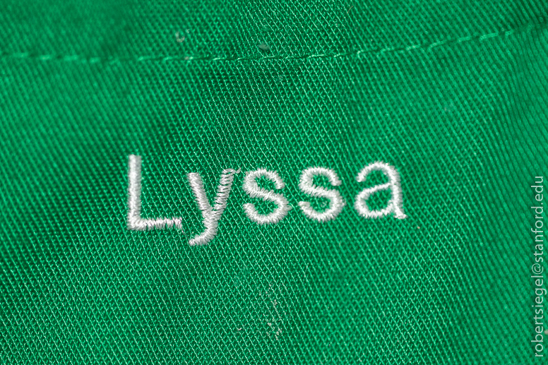 lyssa